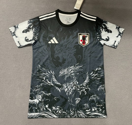 Japon Maillot concept