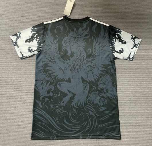 Japon Maillot concept